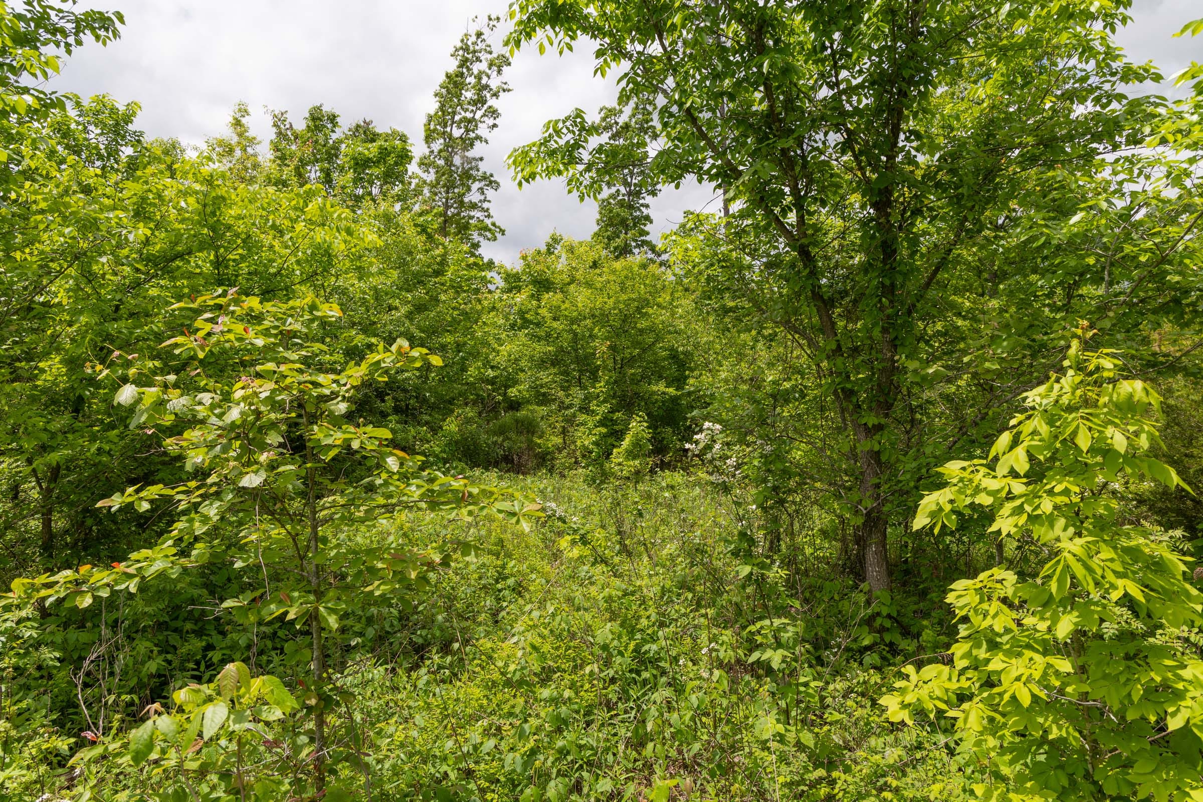 Sleepy Hollow Phase II Tract 77 photo 3