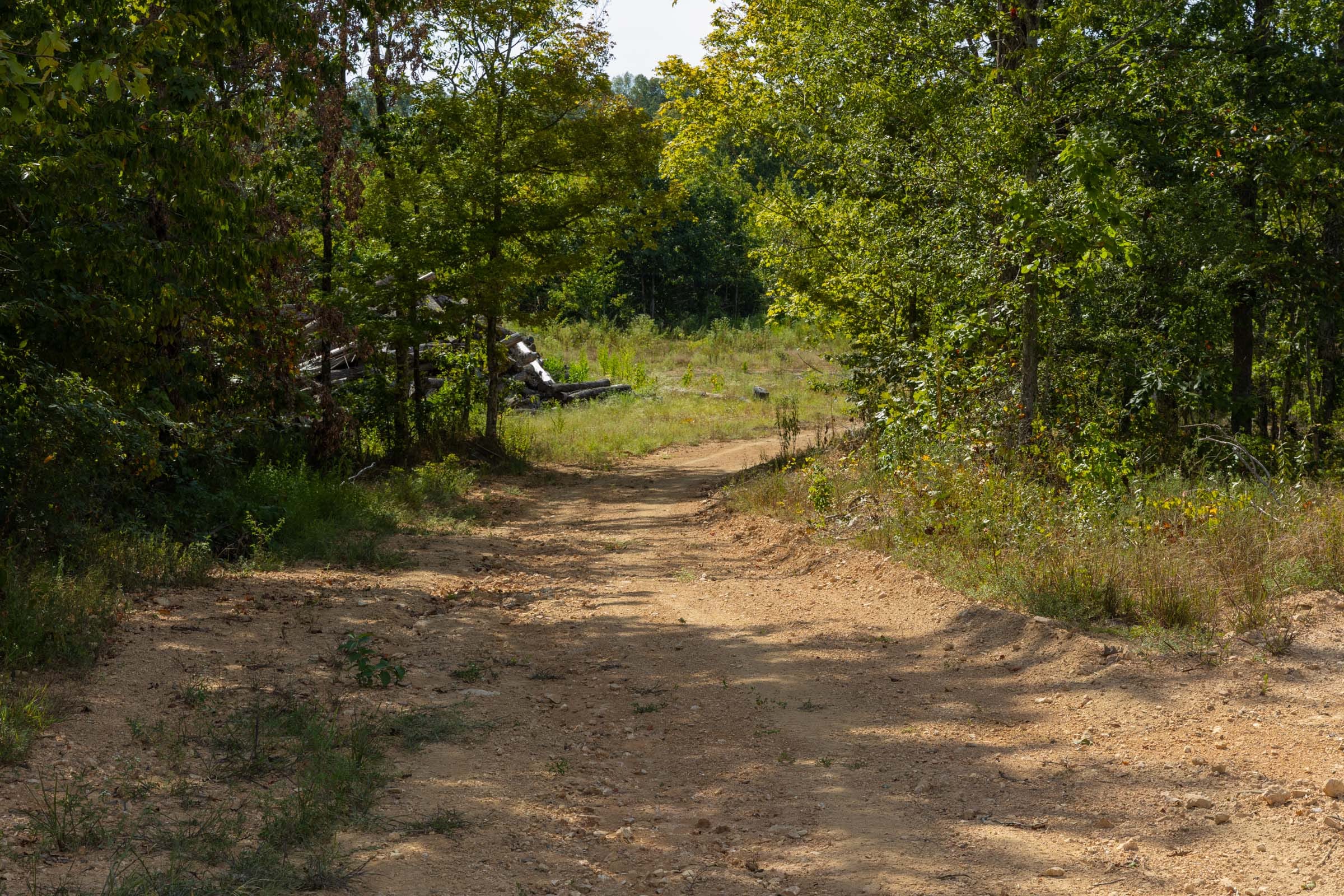Big White Oak Tract 69 photo 1