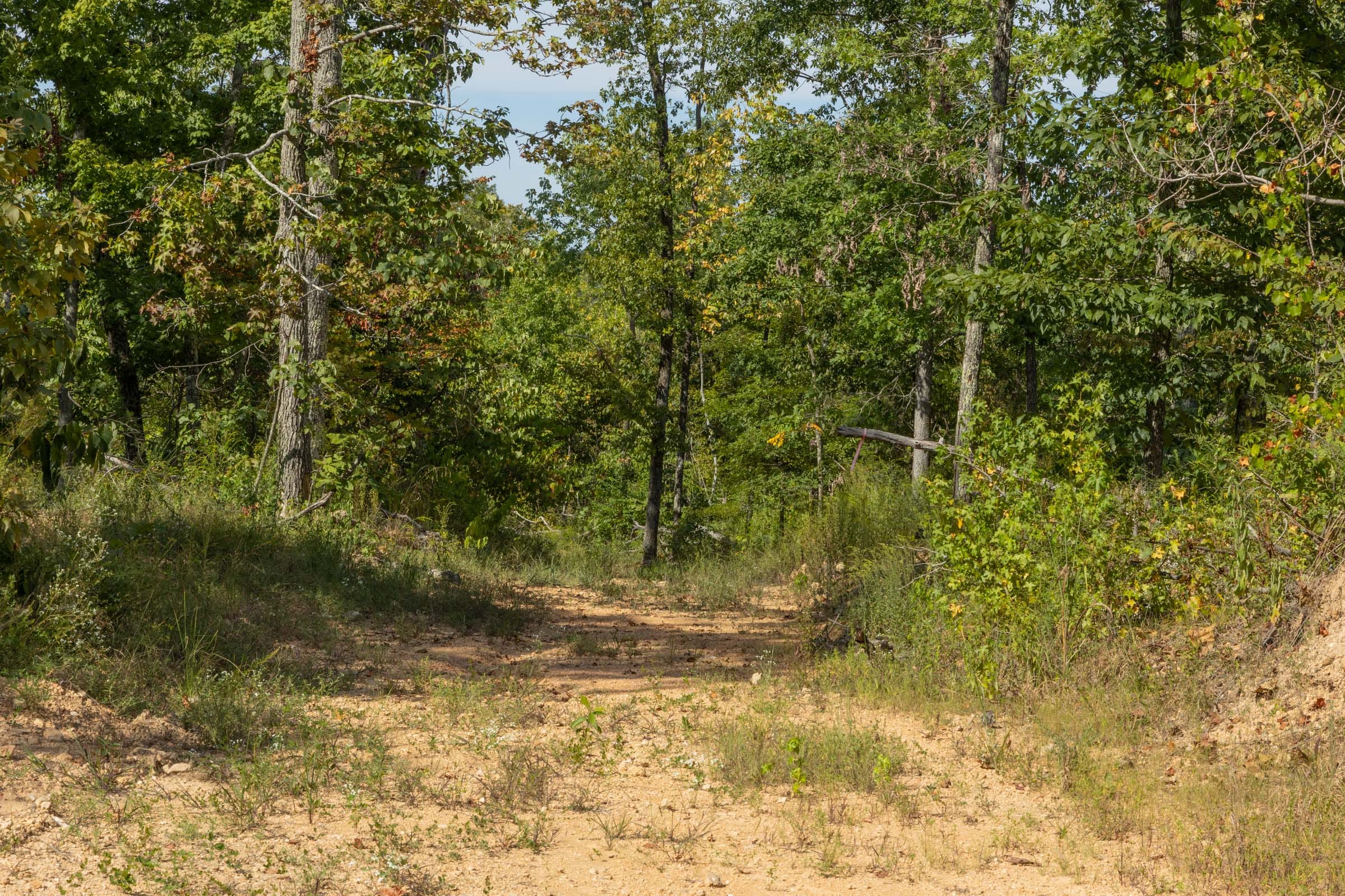 Big White Oak Tract 69 photo 2
