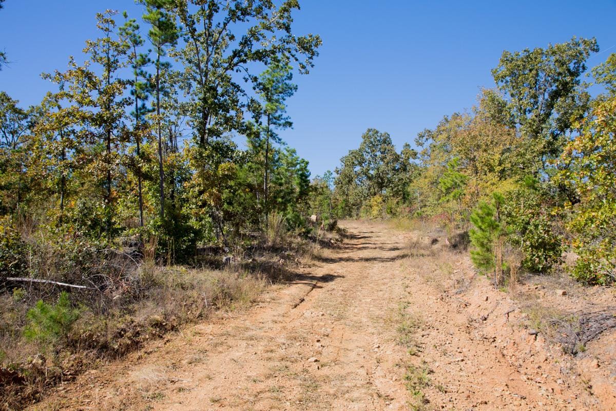 Stone Creek Phase I Tract 182 photo 16