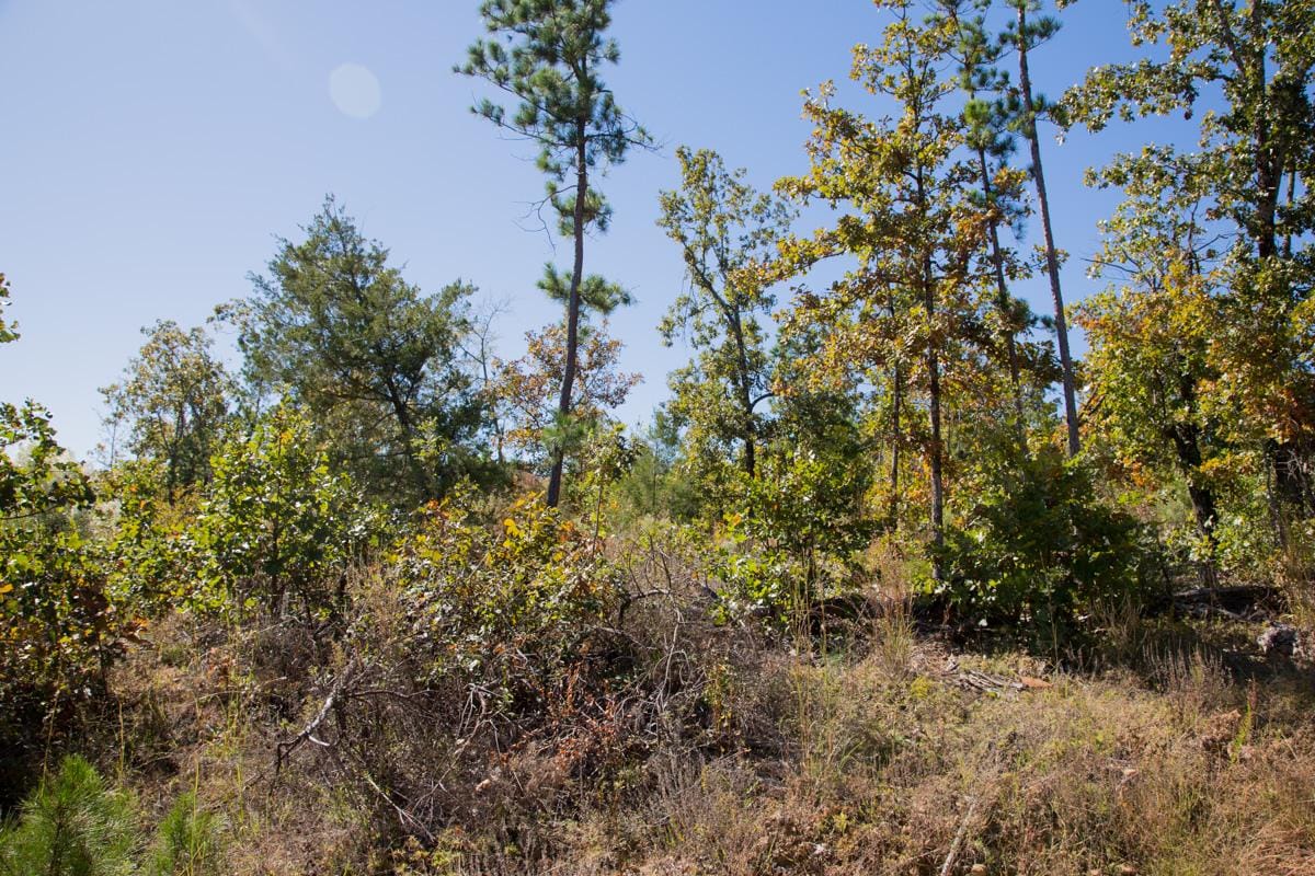 Stone Creek Phase I Tract 182 photo 17