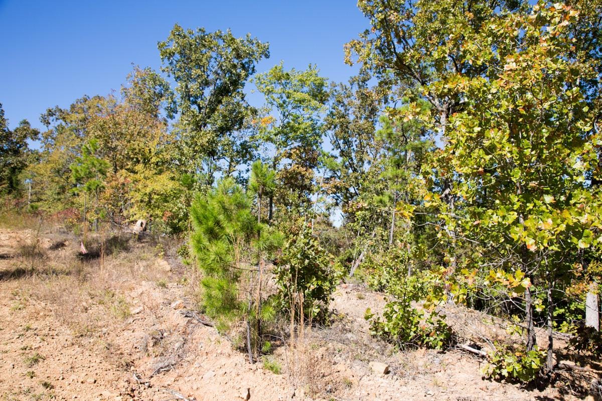 Stone Creek Phase I Tract 182 photo 18
