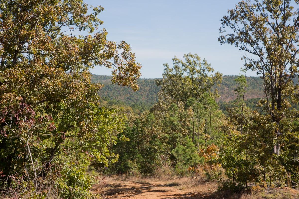 Stone Creek Phase I Tract 182 photo 19