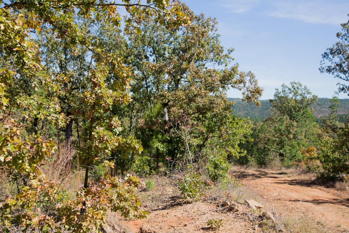 Stone Creek Phase I Tract 182 photo 21