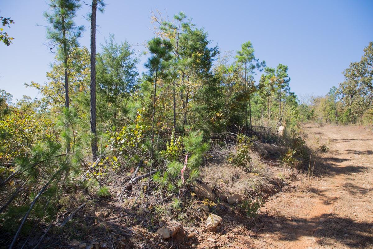 Stone Creek Phase I Tract 182 photo 22