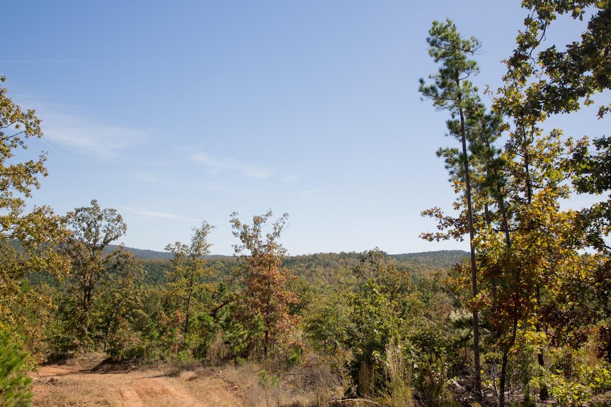 Stone Creek Phase I Tract 182 photo 23