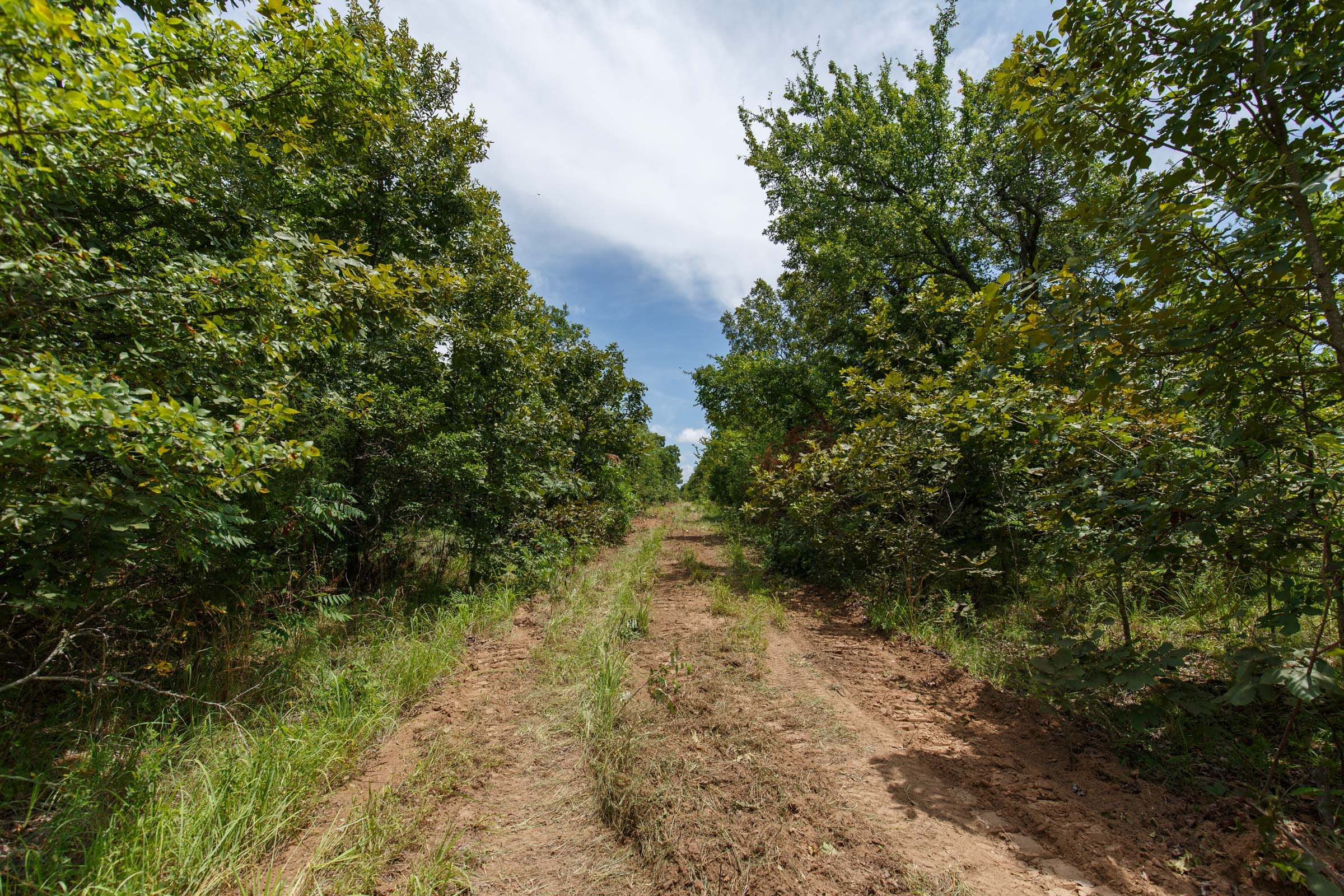 Timber Ridge Tract 16 photo 3