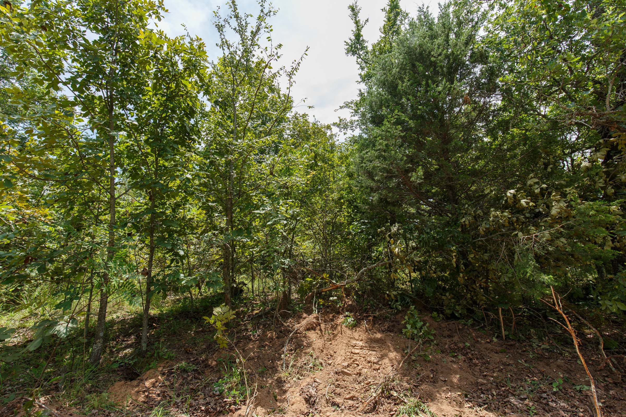 Timber Ridge Tract 16 photo 4