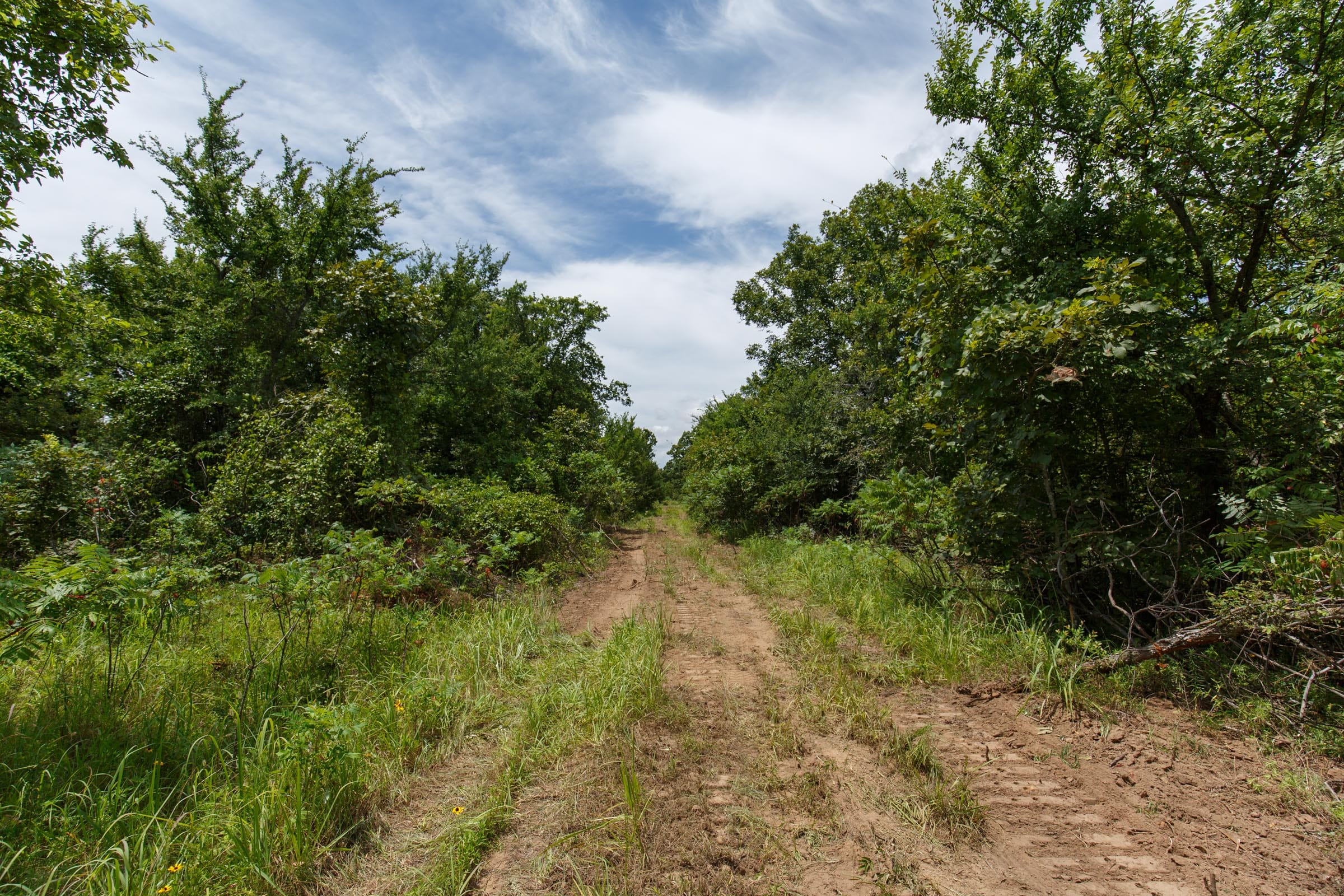 Timber Ridge Tract 16 photo 1