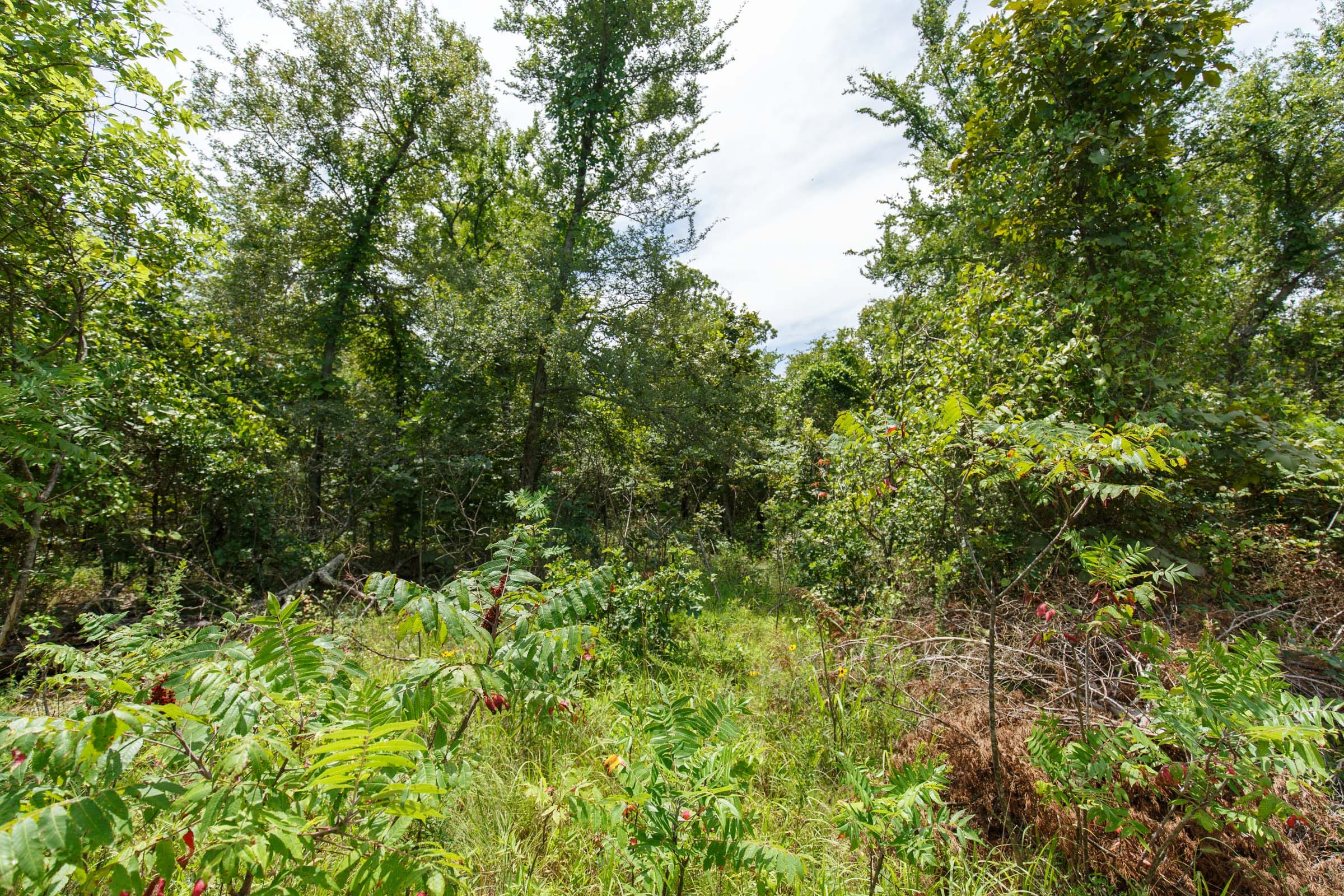 Timber Ridge Tract 16 photo 2