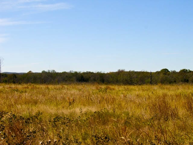 Saddlebrook Ranch Tract 12 photo 2