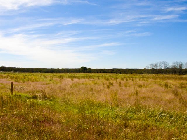 Saddlebrook Ranch Tract 12 photo 4