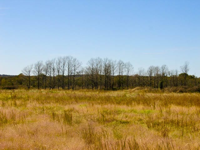 Saddlebrook Ranch Tract 12 photo 5