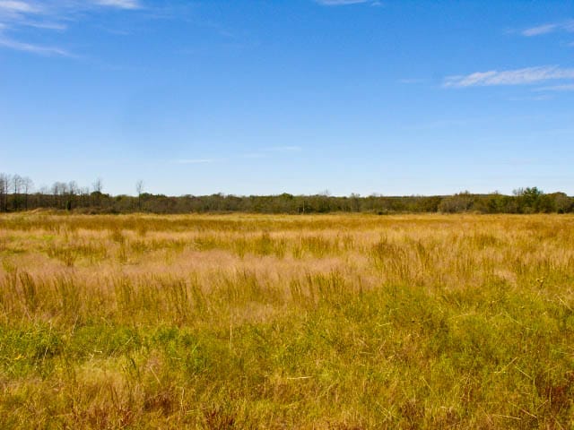 Saddlebrook Ranch Tract 12 photo 6