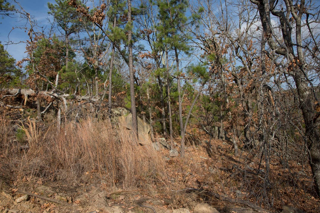 Stone Creek Phase III Tract 92 photo 3