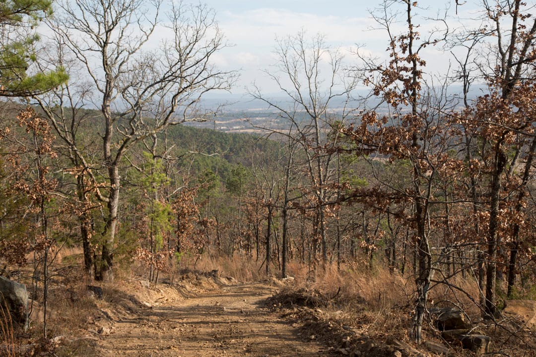 Stone Creek Phase III Tract 92 photo 1