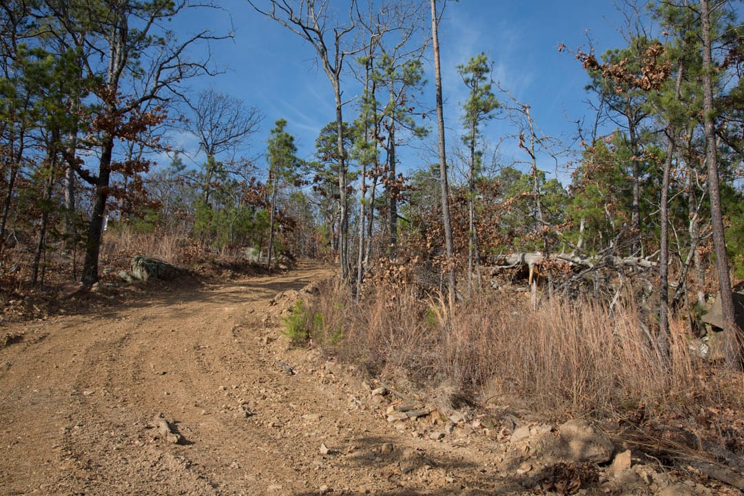 Stone Creek Phase III Tract 92 photo 5