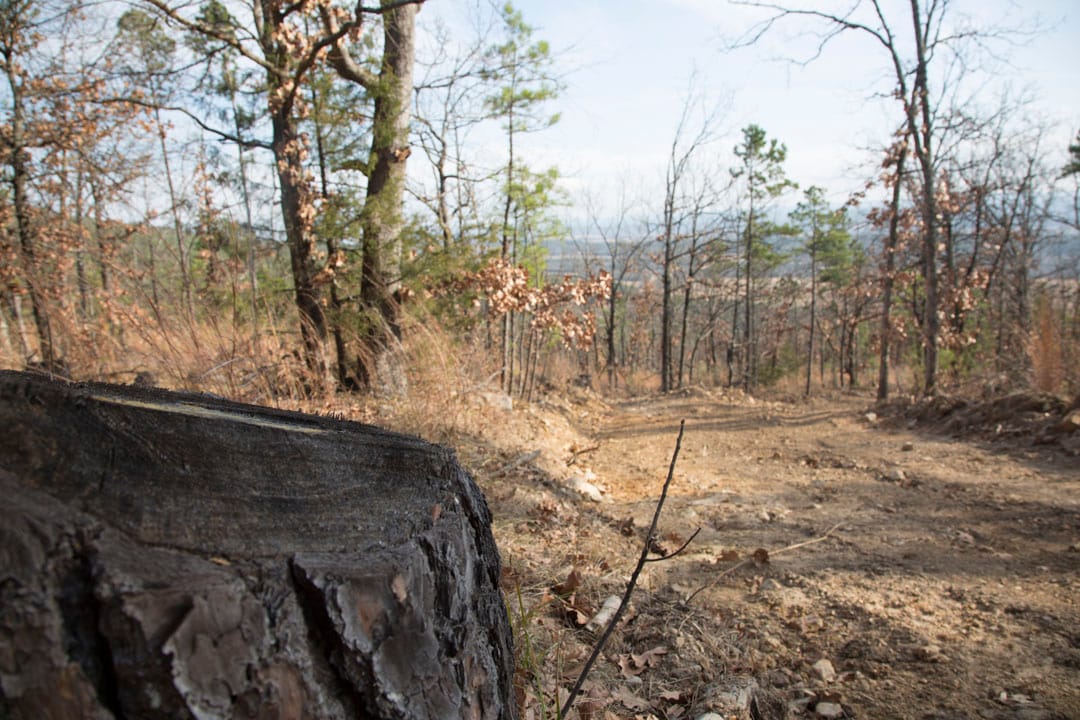 Stone Creek Phase III Tract 92 photo 6
