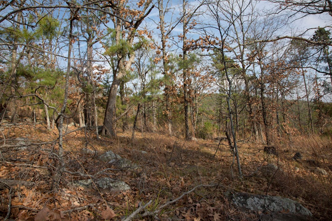 Stone Creek Phase III Tract 92 photo 7