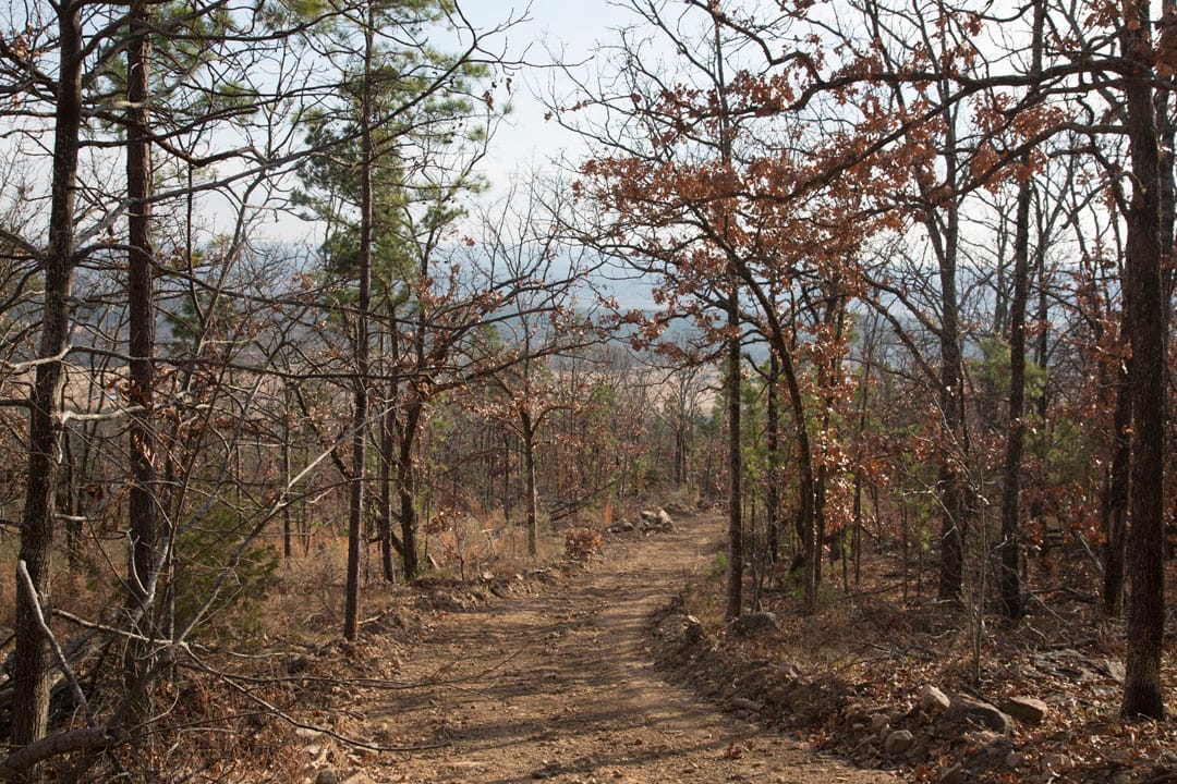 Stone Creek Phase III Tract 92 photo 9