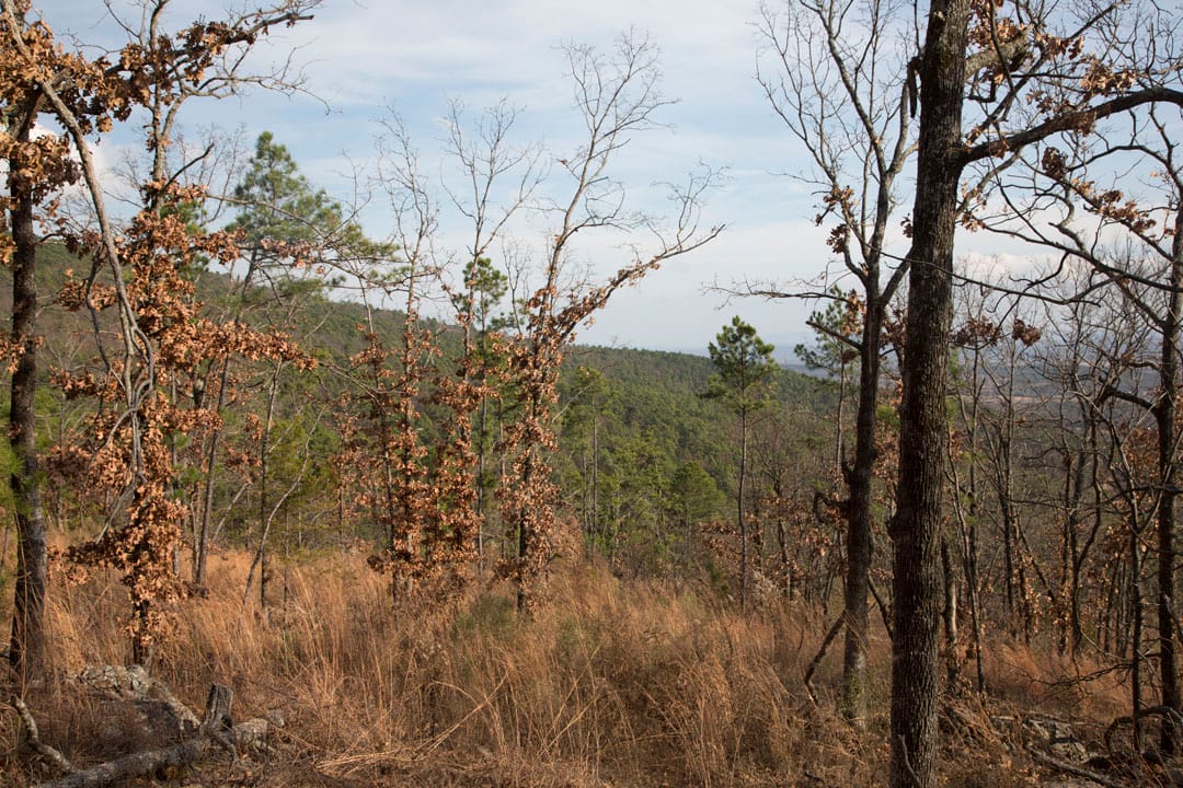 Stone Creek Phase III Tract 92 photo 10