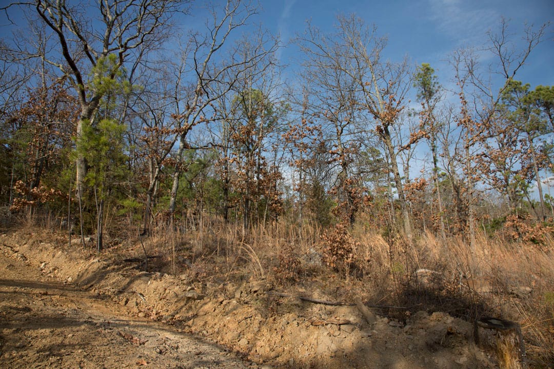 Stone Creek Phase III Tract 92 photo 11