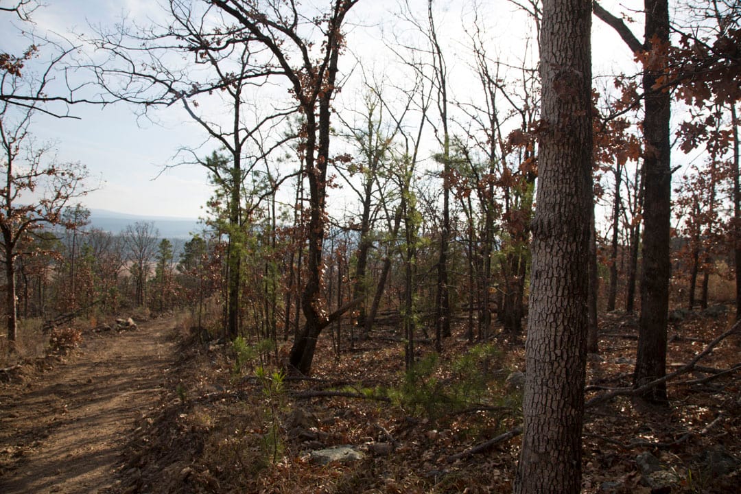Stone Creek Phase III Tract 92 photo 12