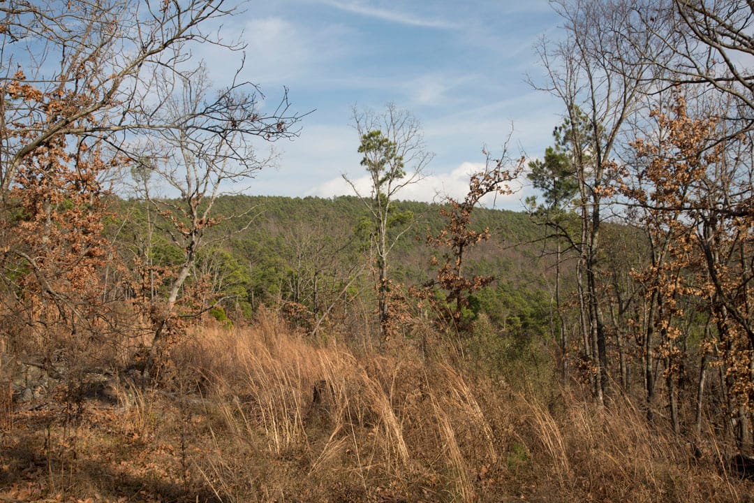 Stone Creek Phase III Tract 92 photo 13