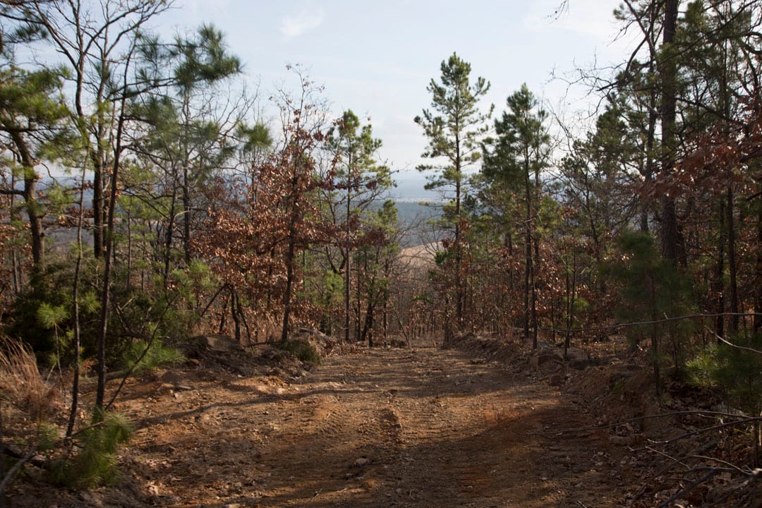 Stone Creek Phase III Tract 92 photo 14
