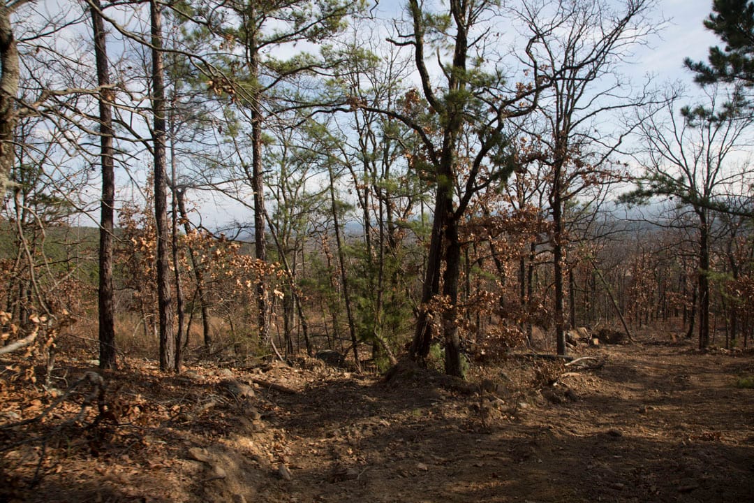 Stone Creek Phase III Tract 92 photo 15