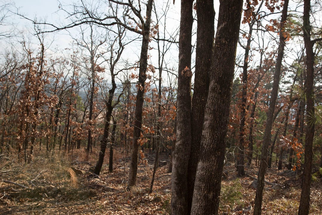 Stone Creek Phase III Tract 92 photo 16