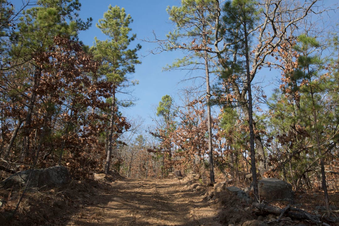 Stone Creek Phase III Tract 92 photo 19