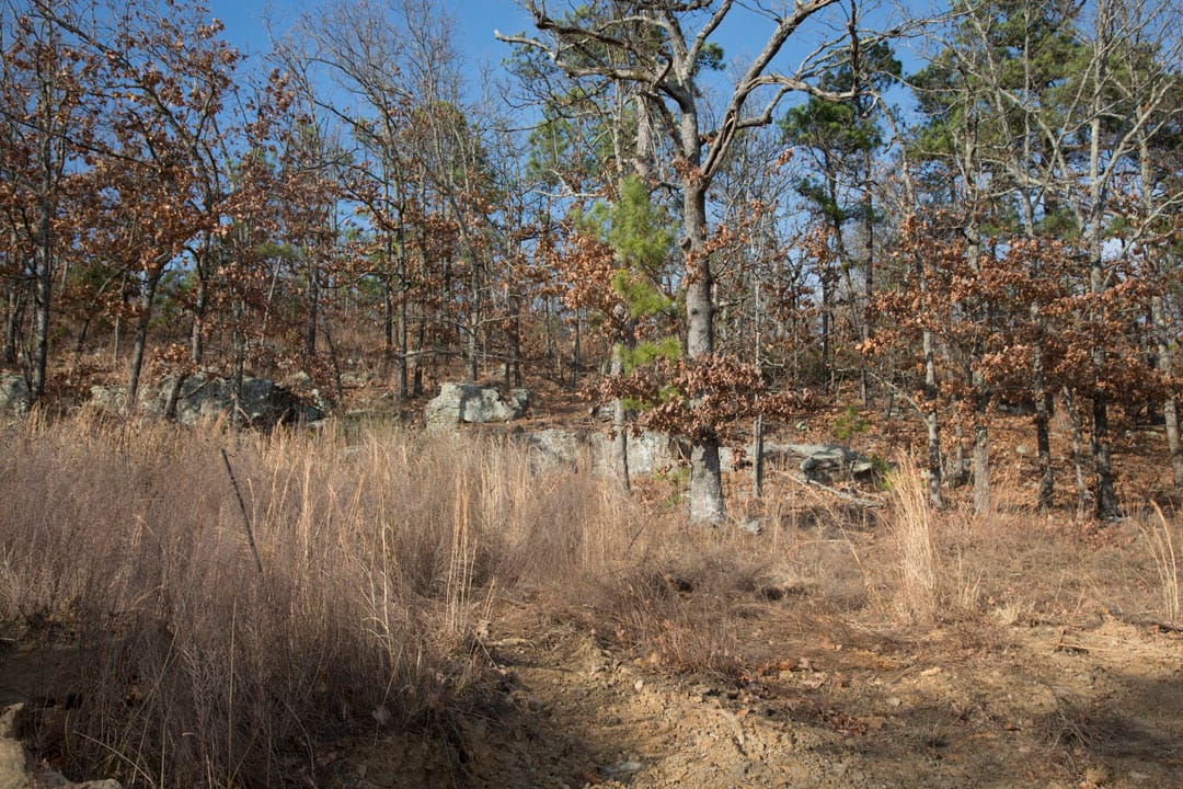 Stone Creek Phase III Tract 92 photo 20