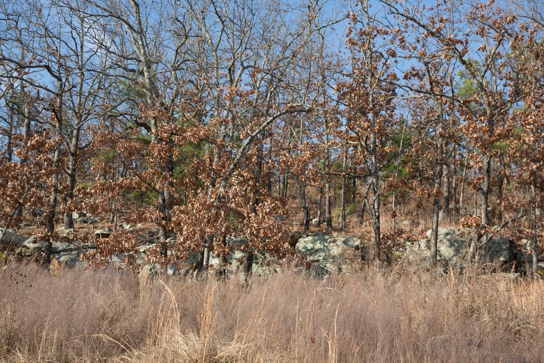 Stone Creek Phase III Tract 92 photo 21