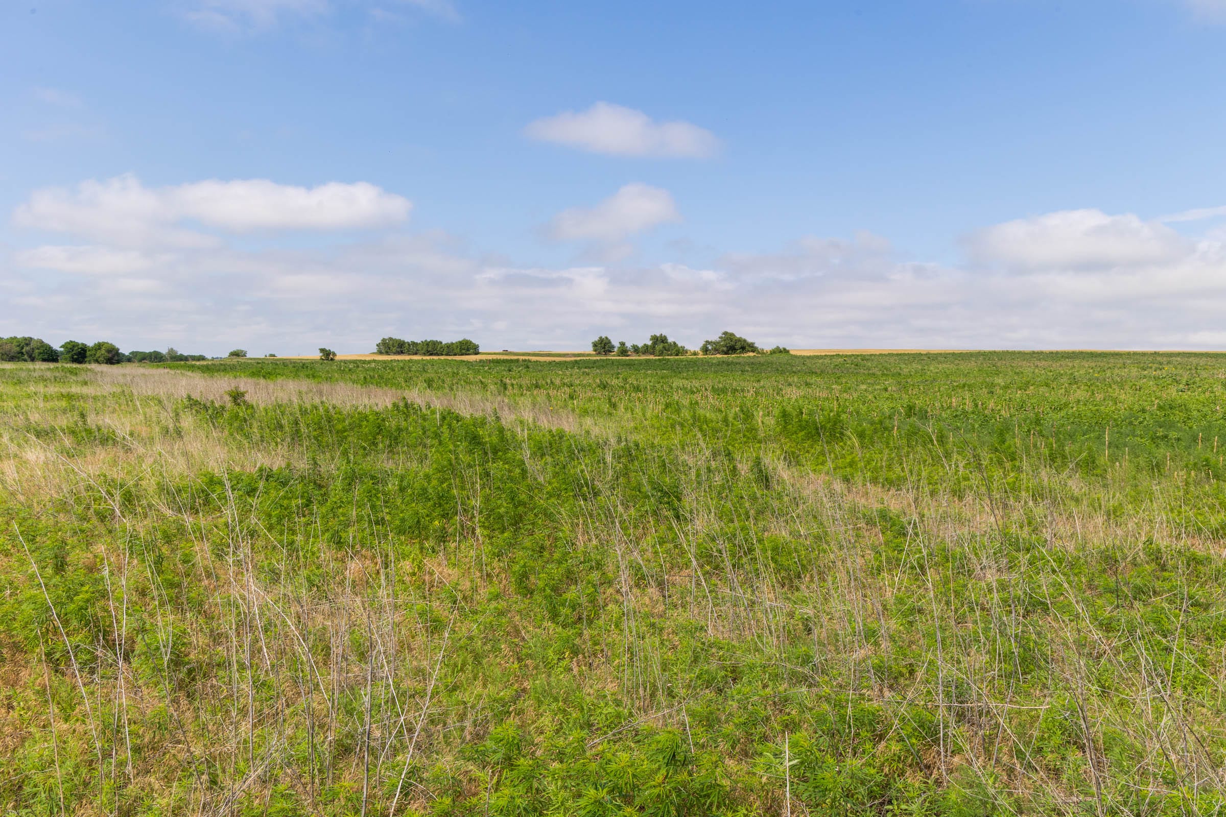 Crandall's Corner Tract 16 photo 5