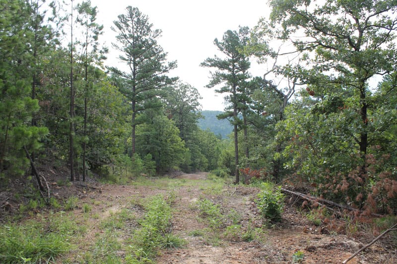 Trophy Ridge Phase III Tract 1 photo 1