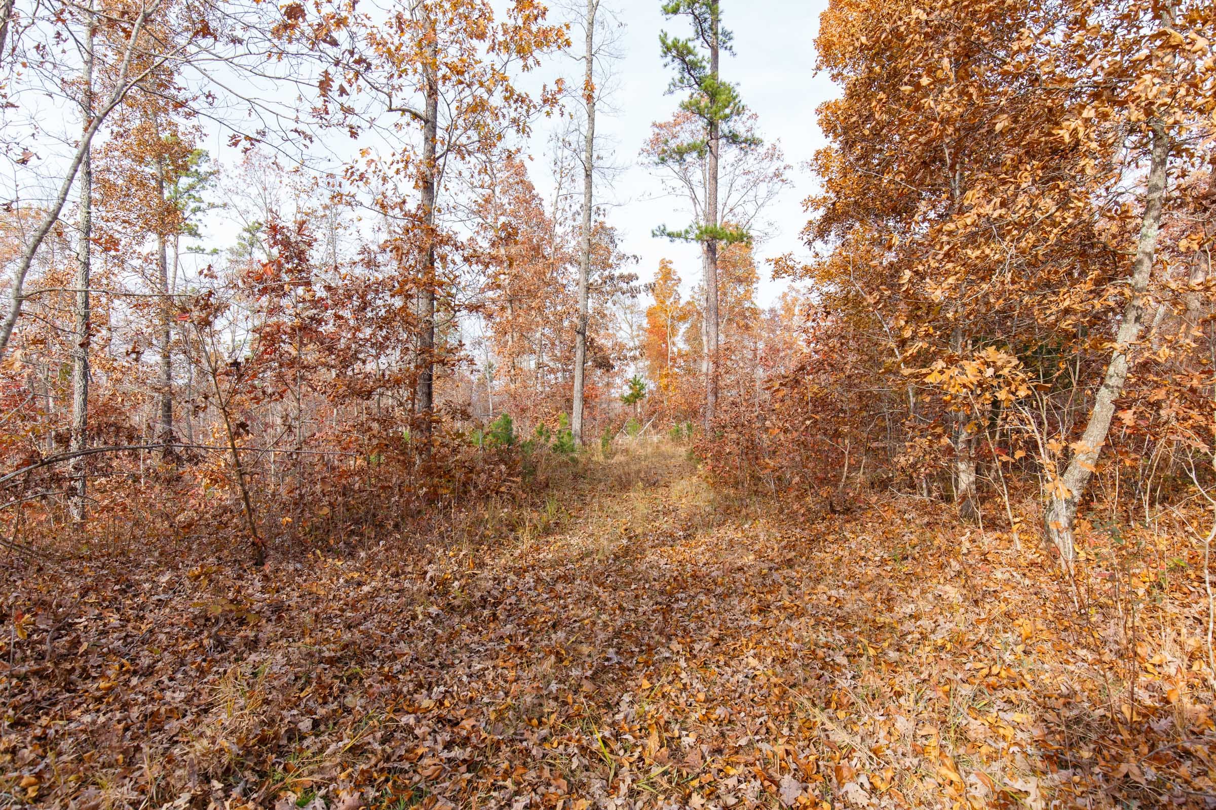 Hawkcrest Tract 43 photo 1