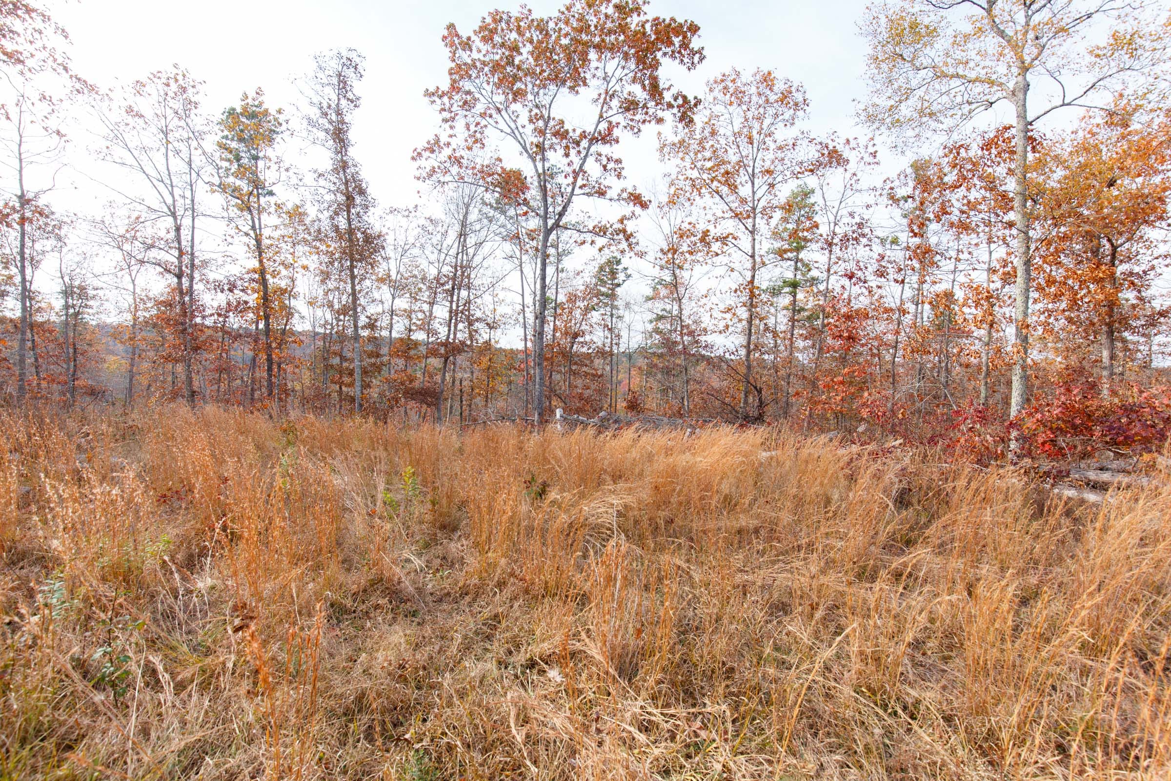 Hawkcrest Tract 43 photo 5