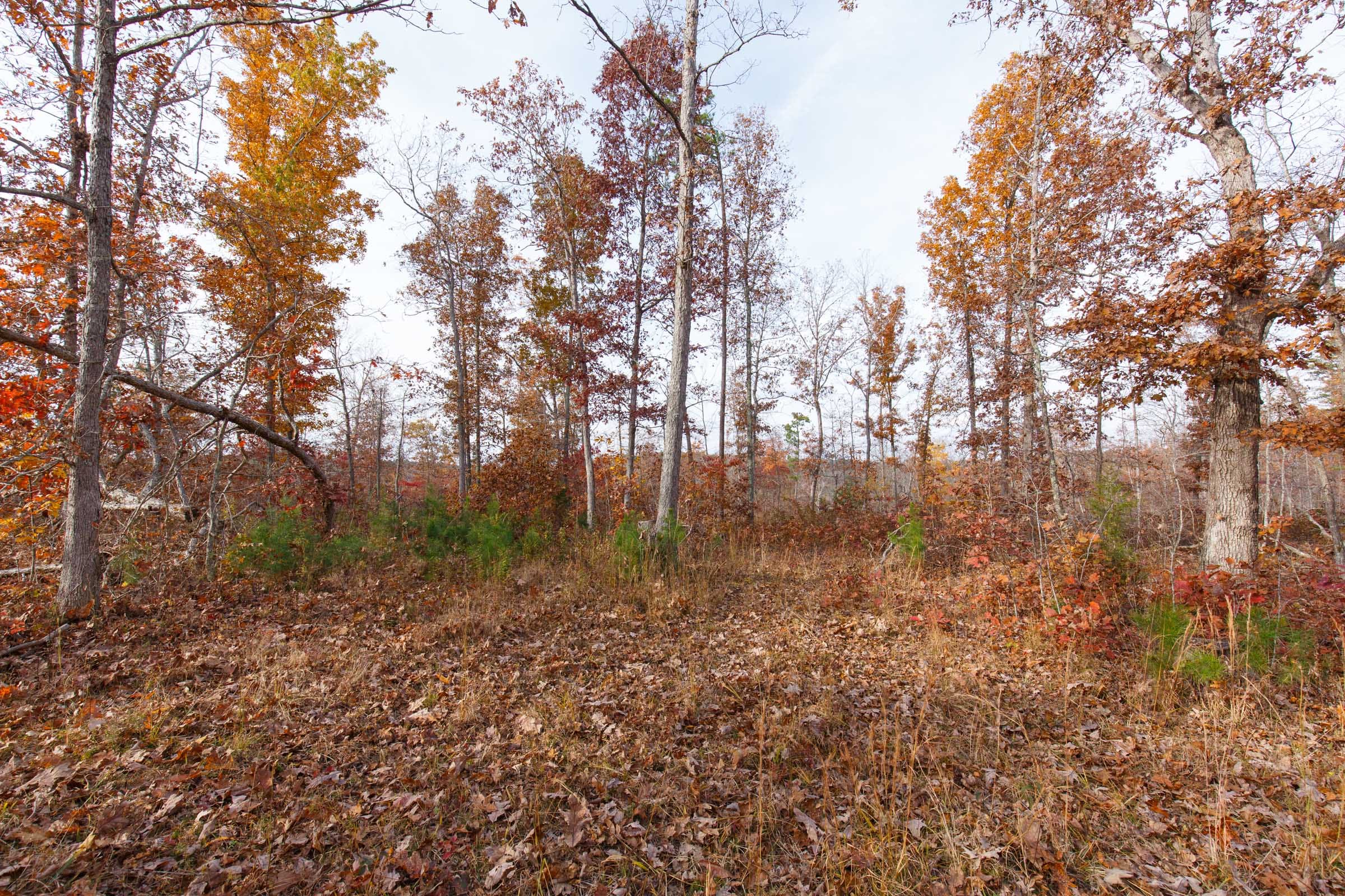 Hawkcrest Tract 43 photo 6