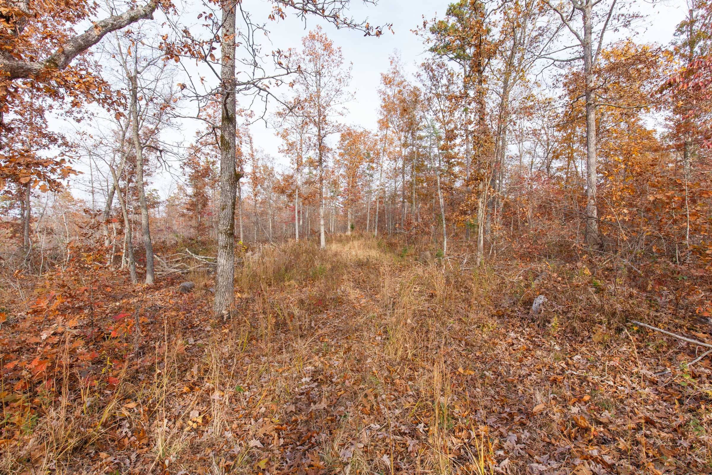 Hawkcrest Tract 43 photo 7