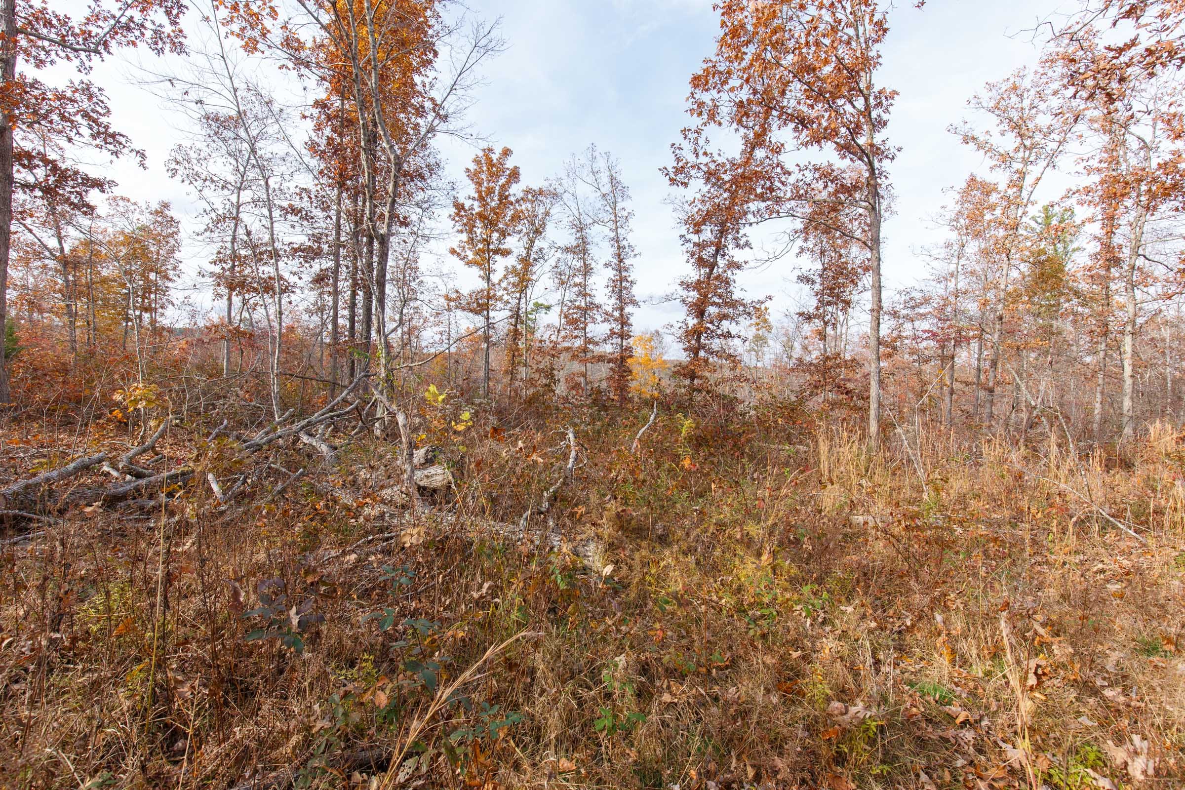 Hawkcrest Tract 43 photo 8