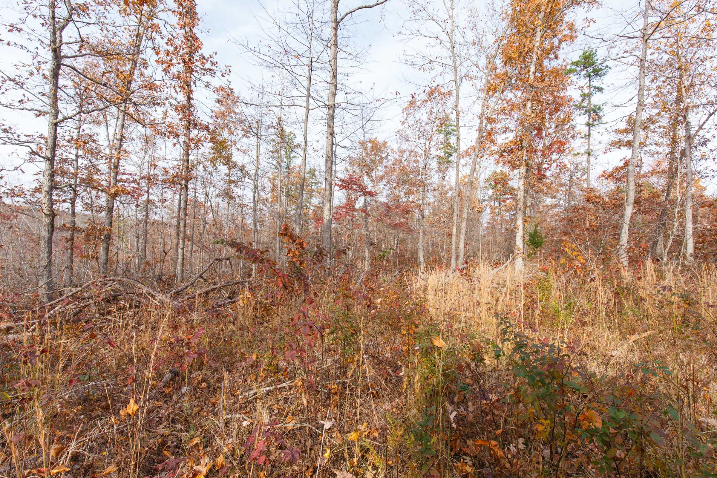 Hawkcrest Tract 43 photo 9