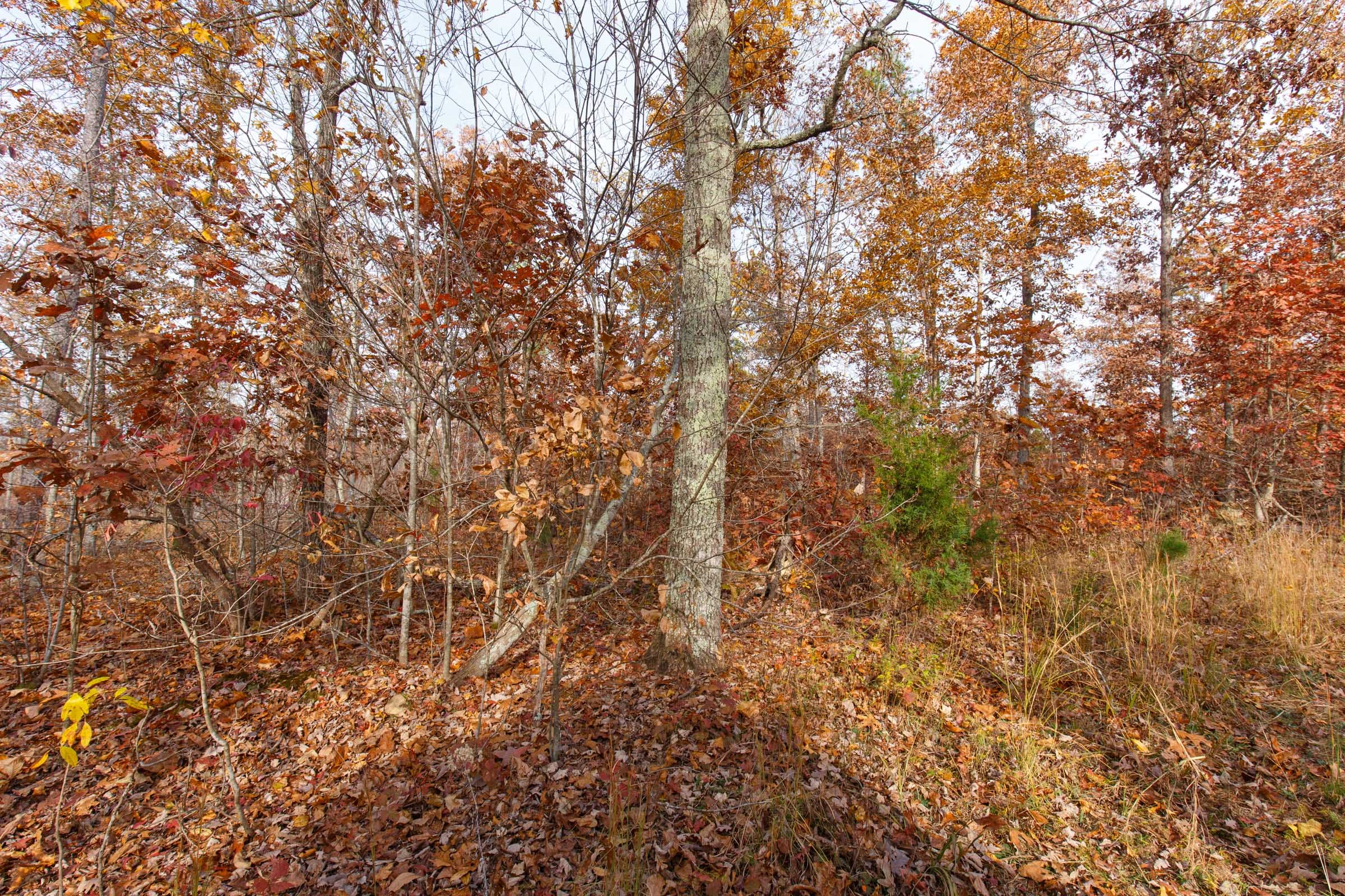 Hawkcrest Tract 43 photo 11