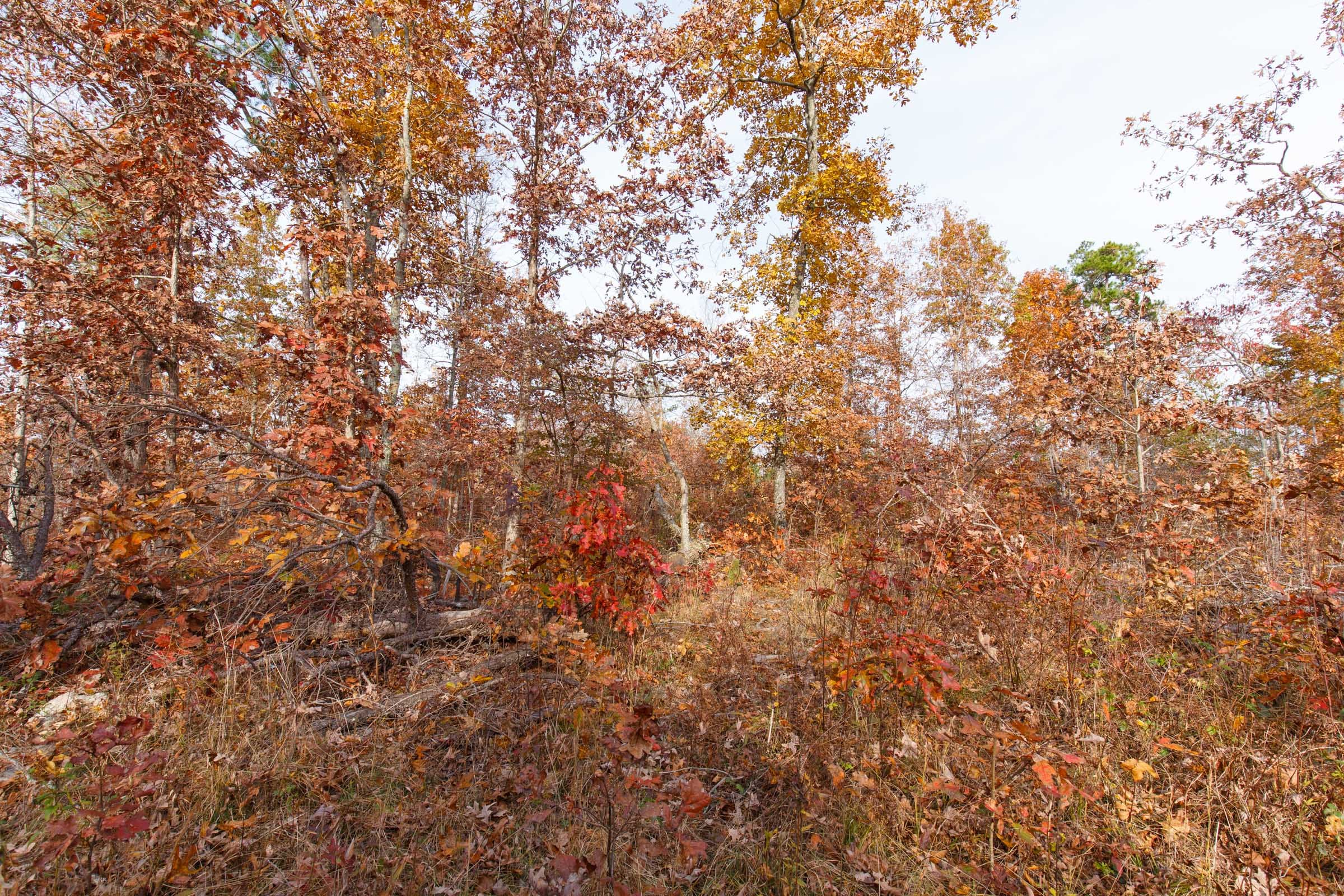 Hawkcrest Tract 43 photo 12