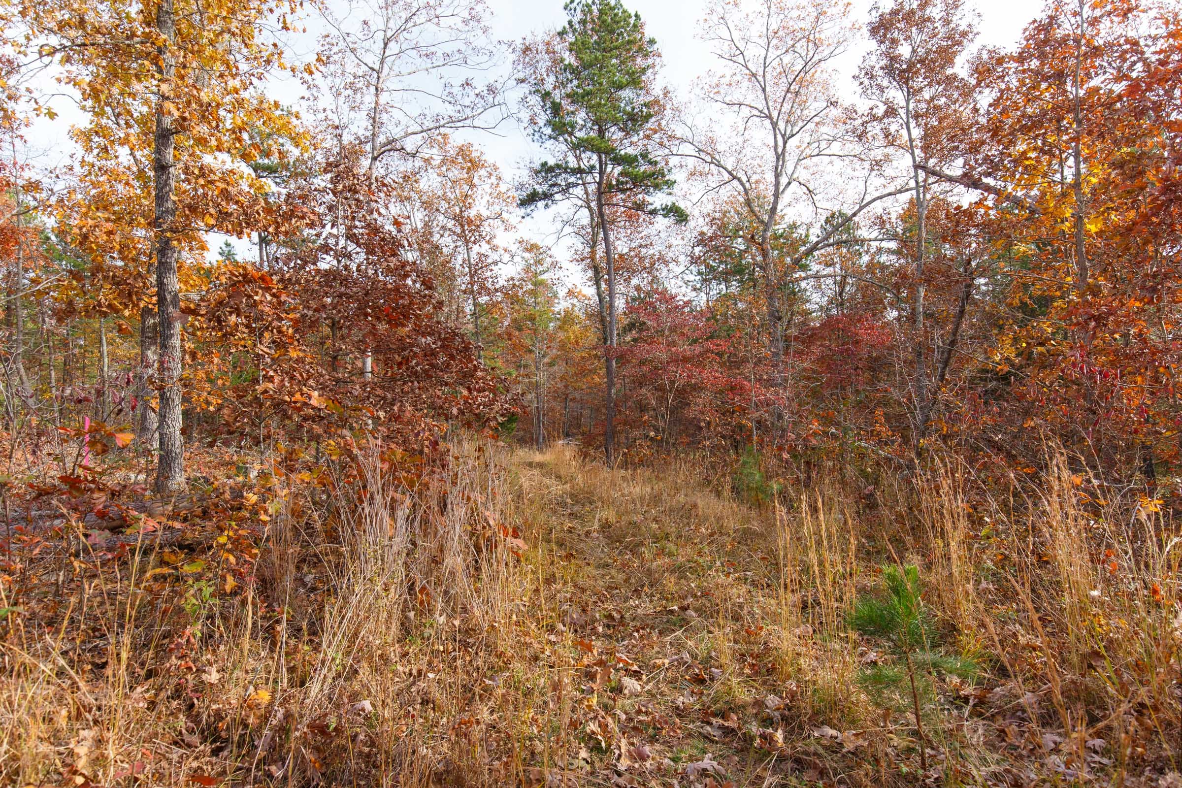 Hawkcrest Tract 43 photo 13