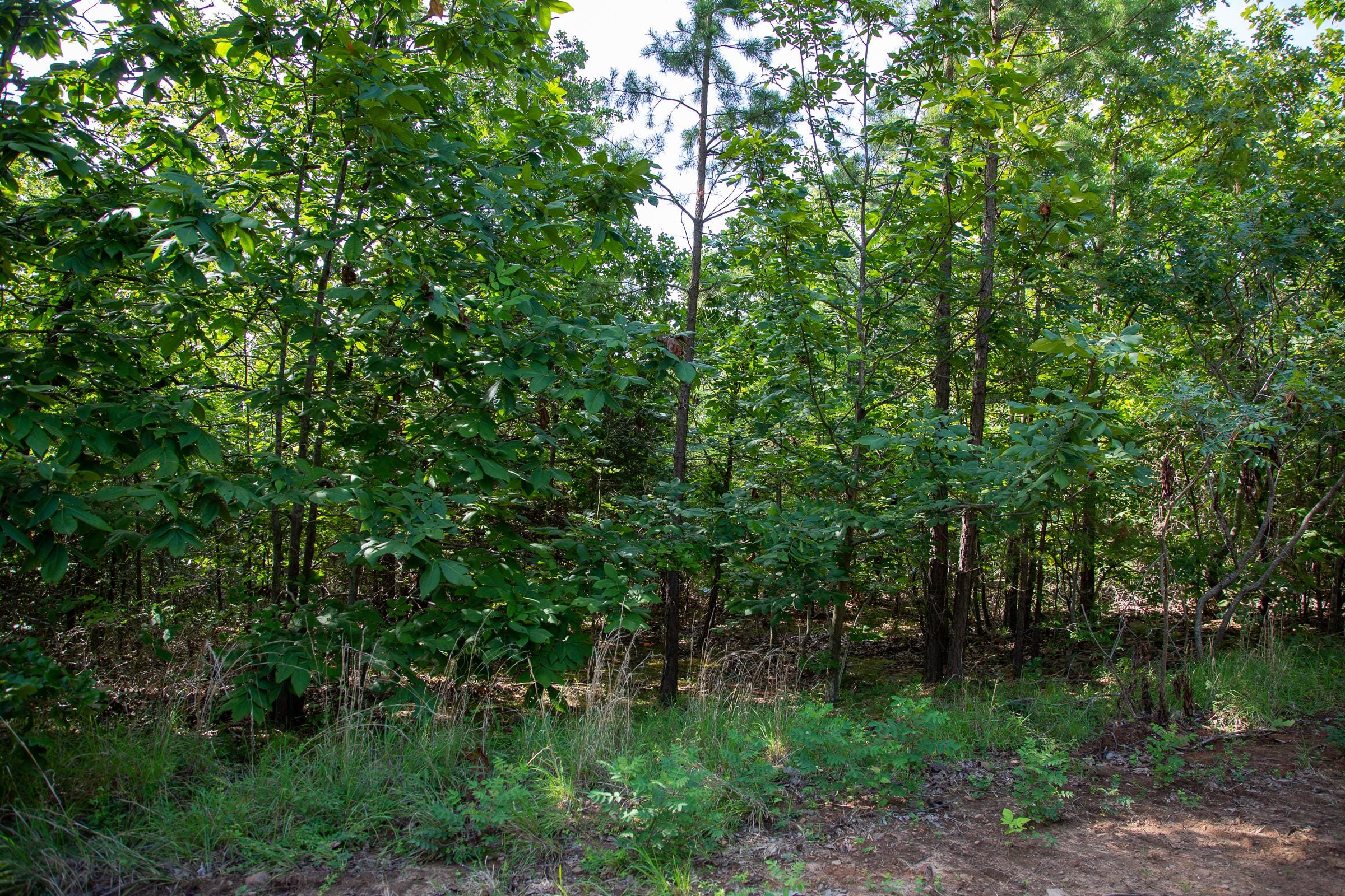 Tyler Stone Ranch Tract 46 photo 3
