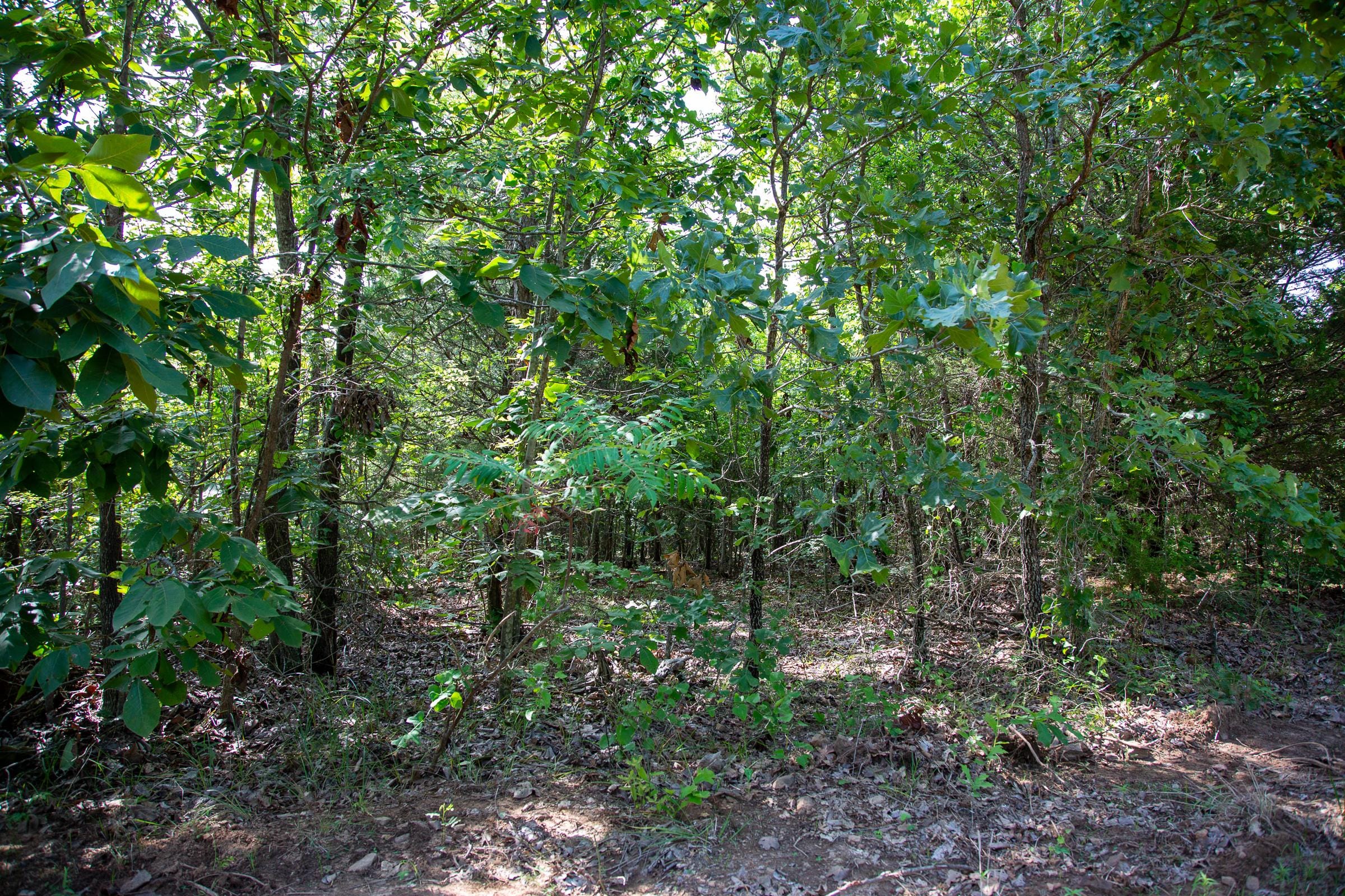 Tyler Stone Ranch Tract 46 photo 6