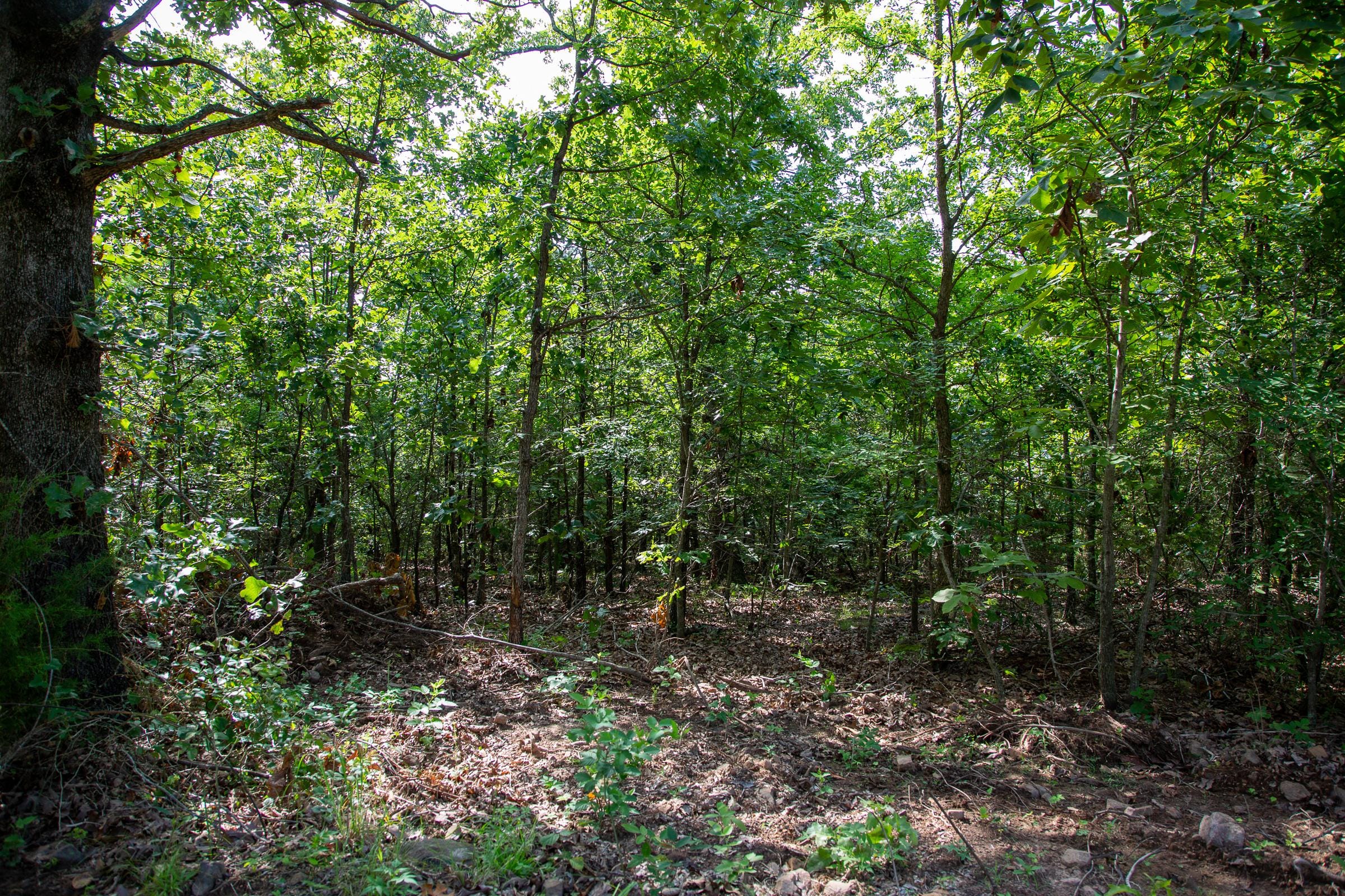 Tyler Stone Ranch Tract 46 photo 8