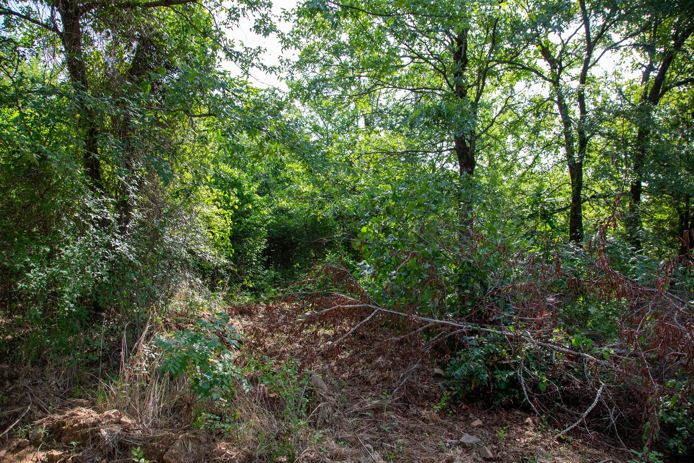 Tyler Stone Ranch Tract 46 photo 9