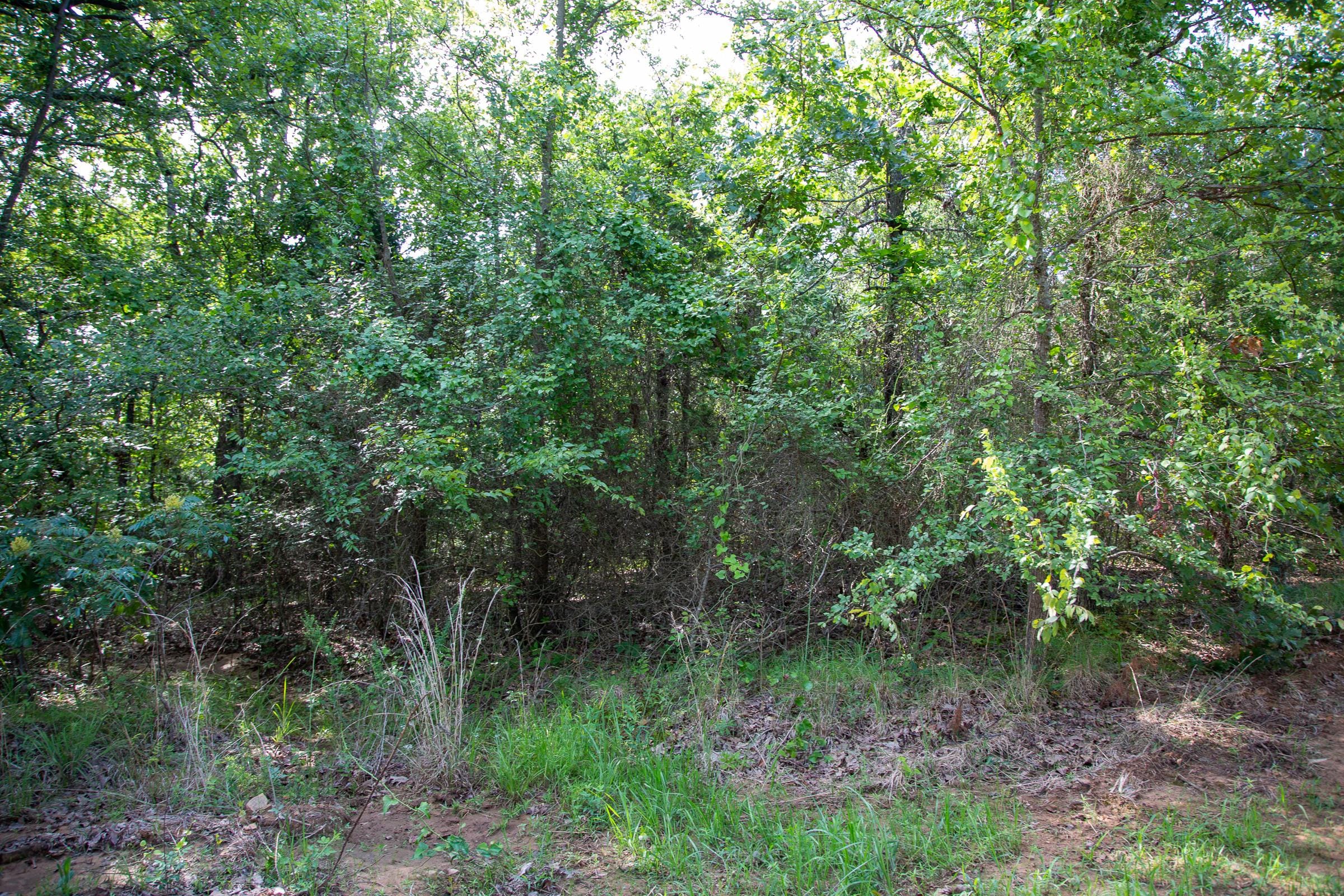 Tyler Stone Ranch Tract 46 photo 11